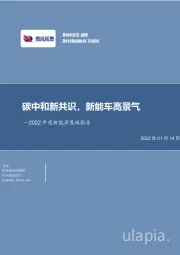 2022年度新能源策略报告：碳中和新共识，新能车高景气