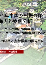 2021年中国乡村振兴路径和乡村振兴海内外案例分析：短报告