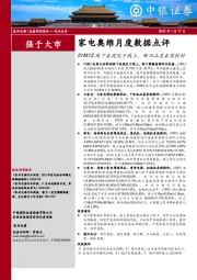 家电奥维月度数据点评：21M12线下表现优于线上，新兴品类表现较好