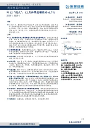 商业贸易行业点评:双12“熄火”,12月社零总额同比+1.7%
