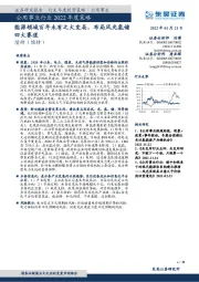 公用事业行业2022年度策略：能源领域百年未有之大变局，布局风光氢储四大赛道