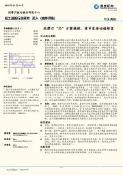 轻工造纸行业研究：思摩尔“芯”方案梳理，重申家居估值修复