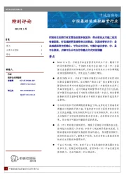 中国基础设施投融资行业特别评论