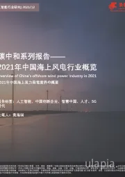 碳中和系列报告——2021年中国海上风电行业概览