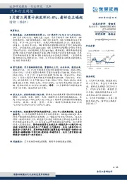 汽车行业周报：1月前三周累计批发环比-8%，看好自主崛起