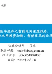 数字经济之智能电网深度报告：配电网投资加速，智能化风起云涌