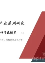 2021年中国新能源汽车产业系列研究：动力电池正极材料行业概览
