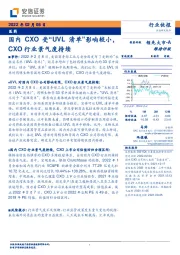 医药行业快报:国内CXO受“UVL清单”影响较小,CXO行业景气度持续