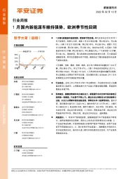 新能源汽车行业周报：1月国内新能源车维持强势，欧洲季节性回调