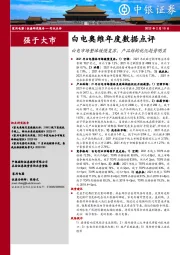 白电奥维年度数据点评：白电市场整体缓慢复苏，产品结构优化趋势明显