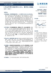 汽车行业周报：1月全月累计批发环比-12%，看好自主崛起