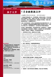 银行1月金融数据点评：社融&信贷创历史新高，重申看好银行