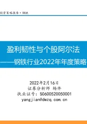 钢铁行业2022年年度策略：盈利韧性与个股阿尔法