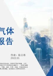 2022年工业气体行业研究报告