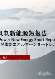 2021年中国风电新能源短报告