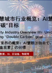 2021年中国智慧城市行业概览：AI慧眼独具，赋能“双碳”目标