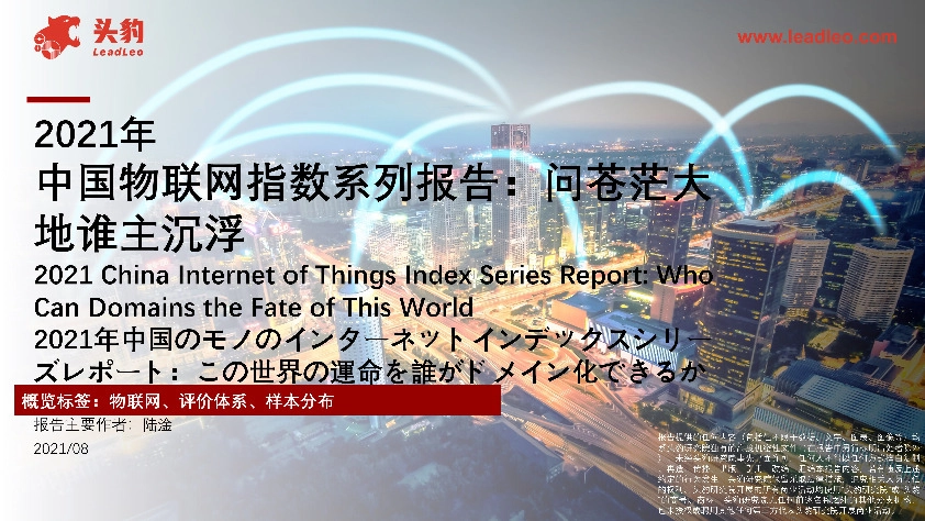 2021年中国物联网指数系列报告：问苍茫大地谁主沉浮