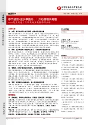 食品饮料：阿里渠道1月酒类线上数据跟踪点评：春节提前+返乡率提升，1月动销增长亮眼