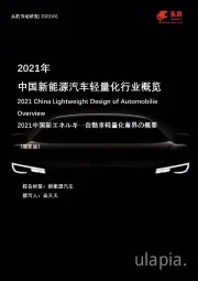 2021年中国新能源汽车轻量化行业概览（摘要版）