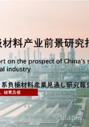 2022年中国硅基负极材料产业前景研究报告