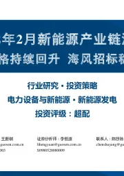 2022年2月新能源产业链洞察：硅料价格持续回升 海风招标稳步推进