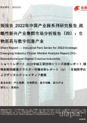 短报告_2022年中国产业园系列研究报告_战略性新兴产业集群市场分析报告（四）：生物医药与数字创意产业