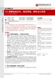 轻工制造行业点评报告:315套餐陆续发布,强者恒强,期待龙头表现