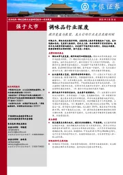 调味品行业深度：提价复盘与展望，龙头引领行业走出至暗时刻