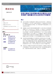 基础设施投融资行业：防范化解地方政府隐性债务及国有企业改革背景下城投整合对企业信用水平的影响