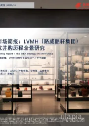 奢侈品系列市场简报：LVMH（路威酩轩集团）收并购历程全景研究