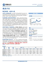 煤炭开采行业专题研究：绿色转型，破局之道