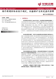 锂行业深度报告：海外新增供给面临不确定，把握锂矿自供是盈利屏障