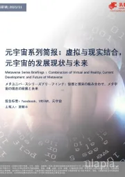 元宇宙系列简报：虚拟与现实结合，元宇宙的发展现状与未来