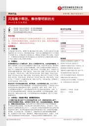 汽车行业周报:风险集中释放,静待黎明前的光