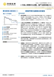 美容护理行业跟踪分析报告：2月线上销售环比改善，国产品牌持续分化