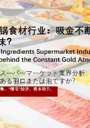 2022年中国火锅食材行业：吸金不断的背后是风口还是泡沫？