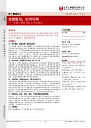 新冠抗原检测行业专题报告:政策落地,空间可期