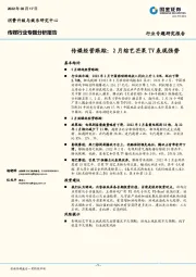 传媒行业专题分析报告：传媒经营跟踪：2月综艺芒果TV表现强势