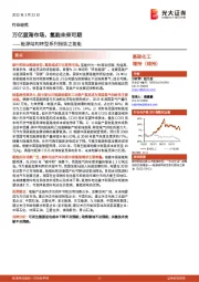 能源结构转型系列报告之氢能：万亿蓝海市场，氢能未来可期