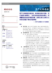 资产支持票据特别评论