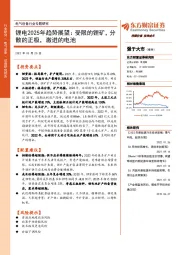 电气设备行业专题研究：锂电2025年趋势展望：受限的锂矿，分散的正极，激进的电池