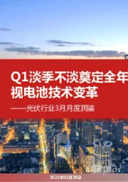 光伏行业3月月度洞鉴:Q1淡季不淡奠定全年高景气,重视电池技术变革