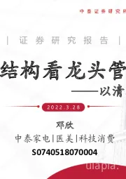 从治理结构看龙头管理之道——以清洁电器视角