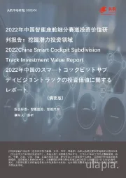 2022中国智能座舱细分赛道投资价值研判报告：挖掘潜力投资领域（摘要版）