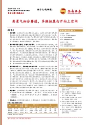 清洁电器专题报告三：高景气细分赛道，多维拓展打开向上空间