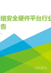 中国网络安全硬件平台行业研究报告