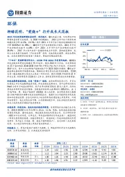 环保行业深度：柳暗花明，“焚烧+”打开成长天花板