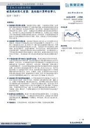 计算机行业跟踪周报：被忽视的国之重器：高性能计算那些事儿