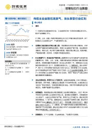 培育钻石行业跟踪：传统主业金刚石高景气，龙头享受行业红利