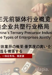 2022年中国三元前驱体行业概览：景气度高企，三类企业共塑行业格局